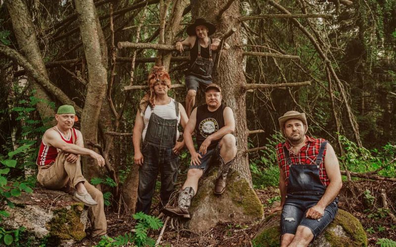 Steve'N'seagulls
