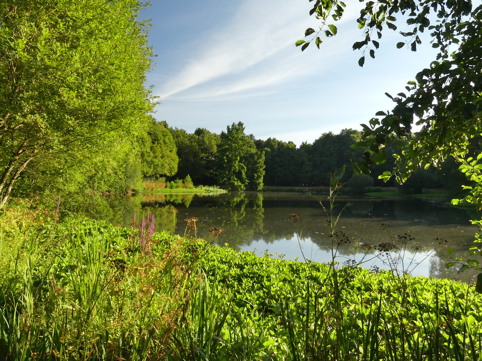 Parc des Gayeulles